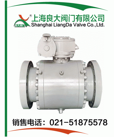 锻钢固定式球阀 锻钢固定式球阀